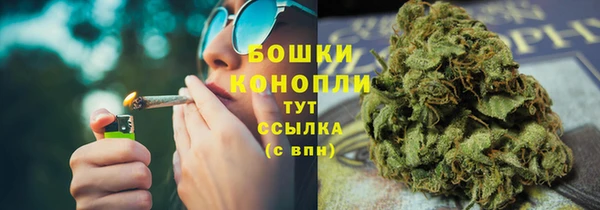дживик Аркадак