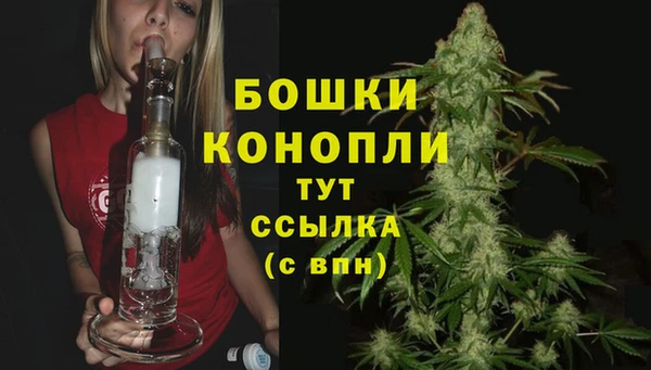 дживик Аркадак
