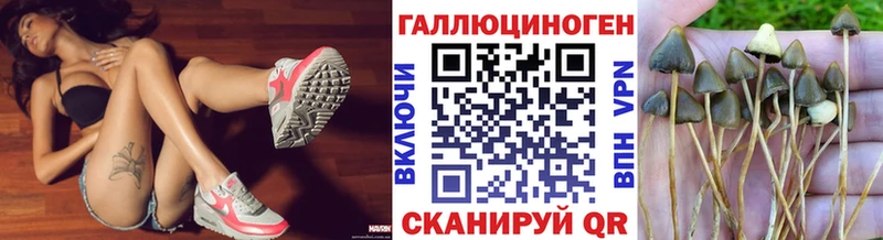 Купить закладки  Зверево  Галлюциногенные грибы мицелий 